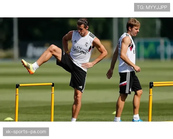 伊布与贝尔托尼进攻角色的转换：单点驱动与体系化分配的战术差异